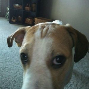 Meet your Posher, William